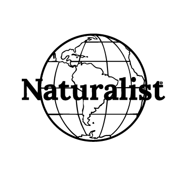 Logo of 'Naturalist' with a globe design on a white background